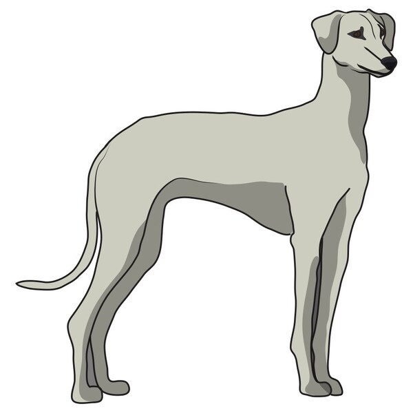 Signmission Sloughi Dog Decal, Dog Lover Decor Vinyl Sticker D-12-Sloughi - main